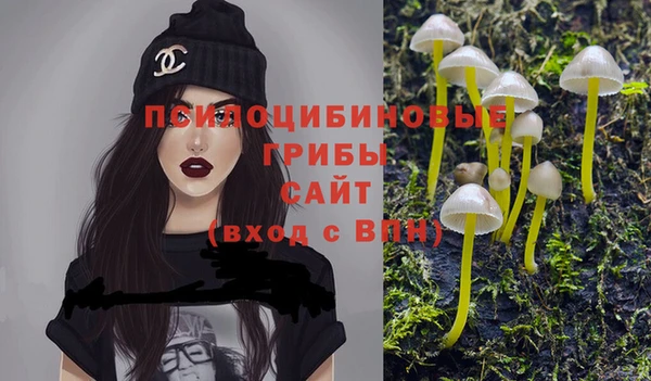 эйфоретик Ростов